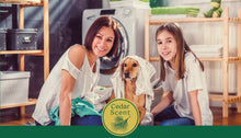 SEEDShub - HAIR REMOVAL LAUNDRY DETERGENT