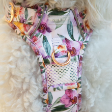 Active Harness - Orchid