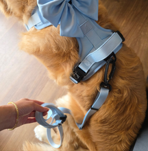 Convertible Leash Plus+ Pastel Blue