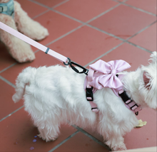 Convertible Leash Plus+ Pastel Pink