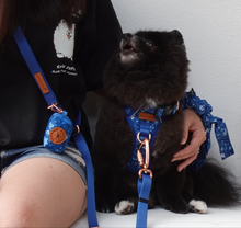 Active Harness - Blue Batik