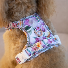 Active Harness - Orchid