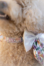 Collar - Orchid