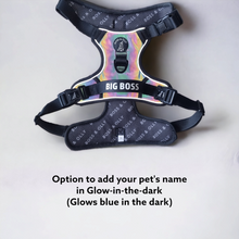 Mystique Active Harness