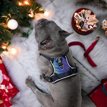 Mystique Active Harness