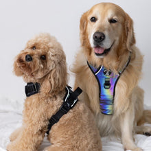 Mystique Active Harness