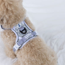 HoloGlam Active Harness
