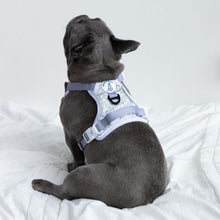 HoloGlam Active Harness
