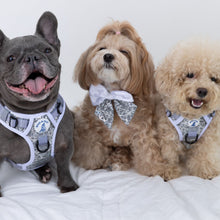 HoloGlam Active Harness