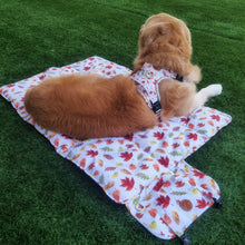 Autumn Leaves Travel Mat
