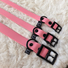 Waterproof Collar - Pastel Pink, Pastel Blue, Sage