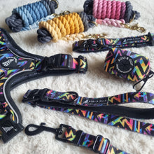Convertible Leash Plus+  Aztec Rainbow