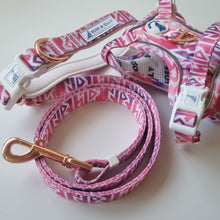 Convertible Leash Plus+ - Fruity Sorbet