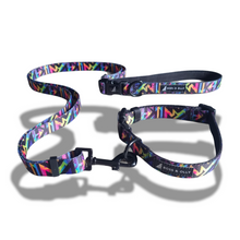 Convertible Leash Plus+  Aztec Rainbow
