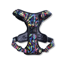 Active Harness - Aztec Rainbow