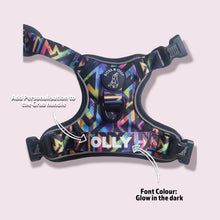 Active Harness - Aztec Rainbow