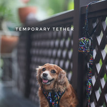 Active Harness - Aztec Rainbow