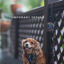 Convertible Leash Plus+ - Midnight Dreams