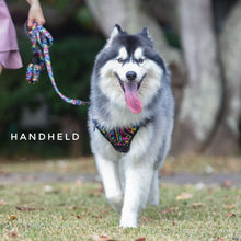 Active Harness - Aztec Rainbow