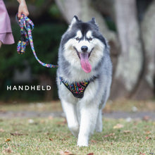 Convertible Leash Plus+  Aztec Rainbow
