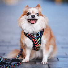 Adjustable Harness - Aztec Rainbow