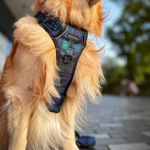 Active Harness - Forest Plaids