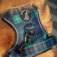 Active Harness - Forest Plaids