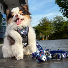 Active Harness - Nautical Plaids