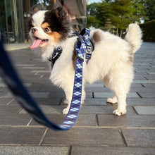 Convertible Leash Plus+  Nautical Plaids