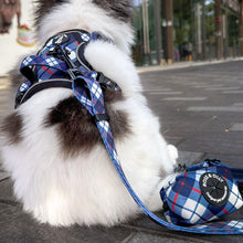 Active Harness - Nautical Plaids