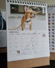 Pet Care Calendar Sticker Sheet (1pc)