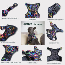 Active Harness - Aztec Rainbow