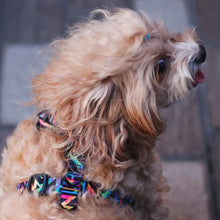 Adjustable Harness - Aztec Rainbow