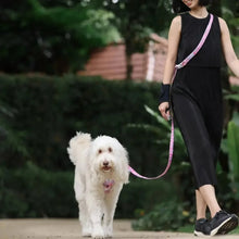 Convertible Leash Plus+ - Fruity Sorbet