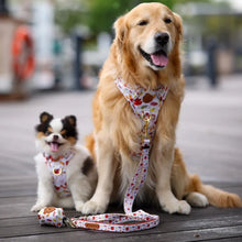 Convertible Leash Plus+ - Autumn Leaves