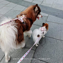 Convertible Leash Plus+ - Autumn Leaves