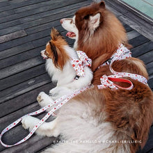 Convertible Leash Plus+ - Autumn Leaves