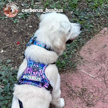 Active Harness - Ombre