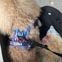 Active Harness - Ombre