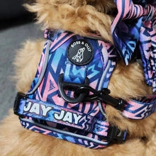 Active Harness - Ombre