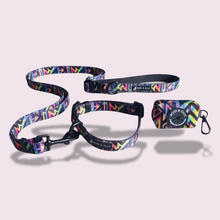 Convertible Leash Plus+  Aztec Rainbow