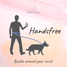 Convertible Leash Plus+ - Midnight Dreams