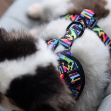 Adjustable Harness - Aztec Rainbow