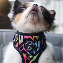 Adjustable Harness - Aztec Rainbow