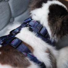 Adjustable Harness - Midnight Dreams