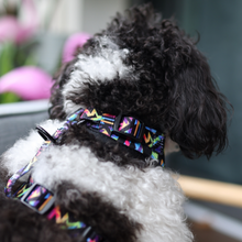 Adjustable Harness - Aztec Rainbow