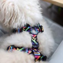 Adjustable Harness - Aztec Rainbow