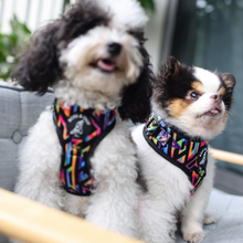 Adjustable Harness - Aztec Rainbow