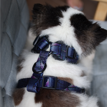 Adjustable Harness - Midnight Dreams