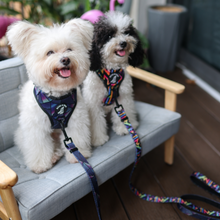 Adjustable Harness - Aztec Rainbow